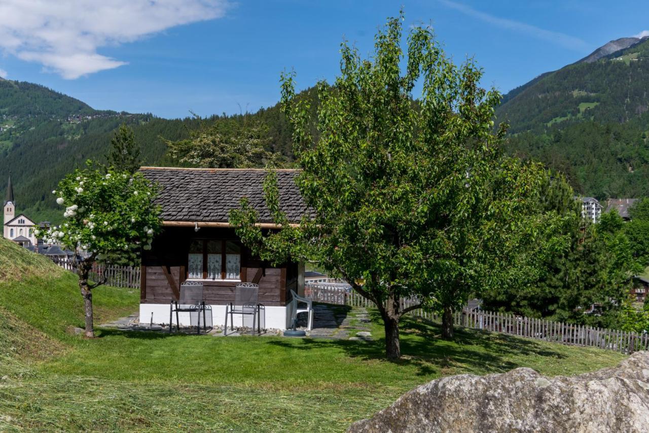 Chalet Sunnegga Fiesch Exteriör bild